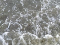 -台山黑沙湾海浴场