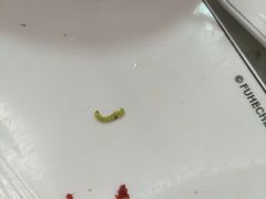 -福合埕牛肉火锅(长平国新店)