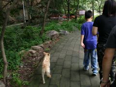 -大岭沟猕猴桃谷风景区