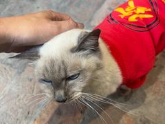 -61号餐吧(兴坪古镇漓江店)