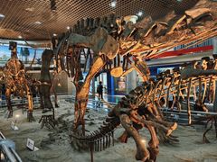 -国家自然博物馆