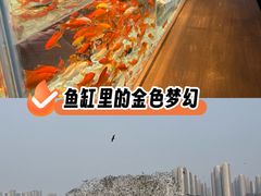 -九江市博物馆