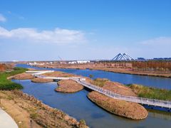 -南汇新城城市公园