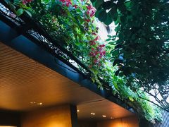 -微热山丘(台北民生公园门市店)