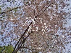 -崂山九水游览区