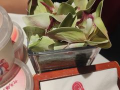 -大鸭梨烤鸭(顺义石园店)