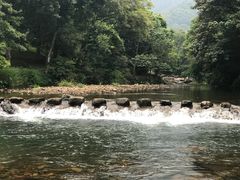 -广州市石门国家森林公园