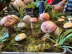 -福照楼汽锅鸡·云南菜(万达广场店)
