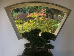 -十八棵（老龙井）御茶园(老龙井店)
