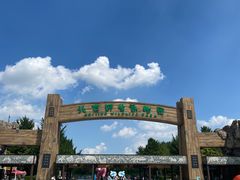 -北京野生动物园