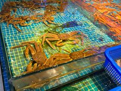 -驻海渔市(置信店)