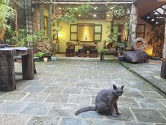 -The Flowers Coffee(南山店)