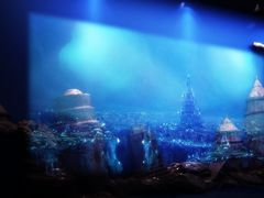 -芜湖新华联大白鲸海洋公园