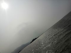 -盐洲岛