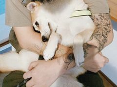 -Line 咖啡(石厦花园店)