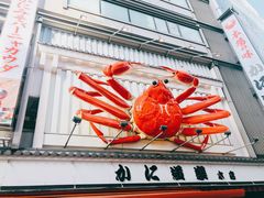 -蟹道乐(道顿堀本店)