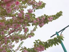 -国色天乡三期陆地乐园