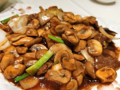 鲜菇牛肉-金利茶餐厅(中船汇店)