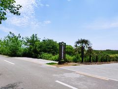 -盐城丹顶鹤湿地生态旅游区