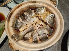 -1937青岛老味道·海肠捞饭·青岛菜(大鲍岛栈桥店)