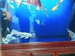 -知足堂养生会所(碑亭巷店)