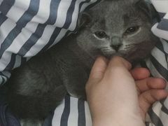 -纳吉亚猫专科动物医院博雅分院