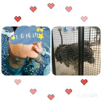 孩子想来游泳很久了,五一终于来游了