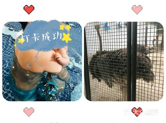 孩子想来游泳很久了，五一终于来游了
