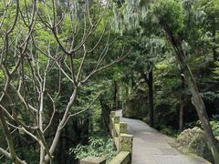 -雁荡山风景名胜区