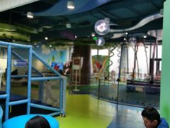 -中国宋庆龄青少年科技文化交流中心