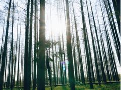 iphone_upload_pic-上海怡沁园度假酒店