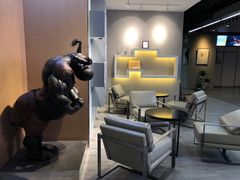 -天行健身＆天行拳馆跆拳道·格斗TXGYM