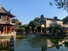 -碧江金楼