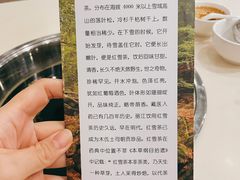 -太婆天府山珍酒楼(亚运村店)