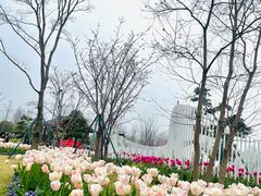 -苏州上方山国家森林公园
