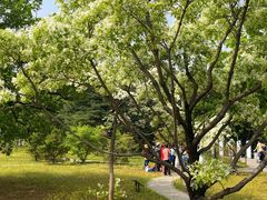 -国家植物园南园