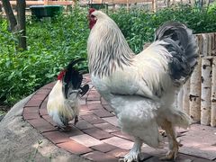 -水上乐园·欢乐世界