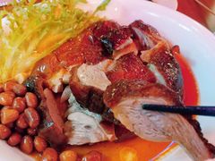 港式明炉烧鸭-德宏记·茶餐厅(新辰里学清路店)