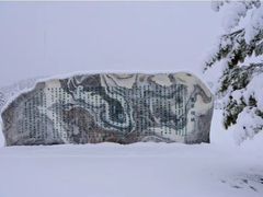 -塞罕坝国家级自然保护区