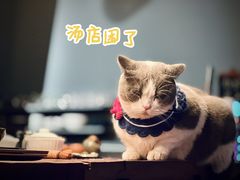 -后院儿·精酿·塔罗Happy Bar
