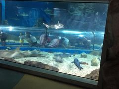 -福州罗源湾海洋世界旅游区