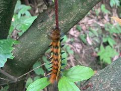 -华蓥山天意谷景区