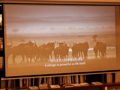 -二酉书店TOYOU BOOKS