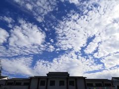 -九龙江国家森林公园