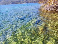 -泸沽湖里格半岛