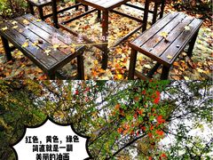-三块石国家森林公园