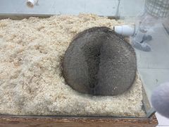 -怪兽屋·羊驼·猫咖·狗咖(俊华广场店)