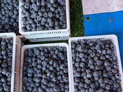 -南坛综合农贸市场