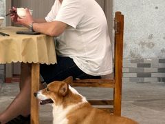 -鹿福农庄(南沙天后宫店)