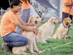 -趣玩宠物乐园寄养训犬训狗游泳池